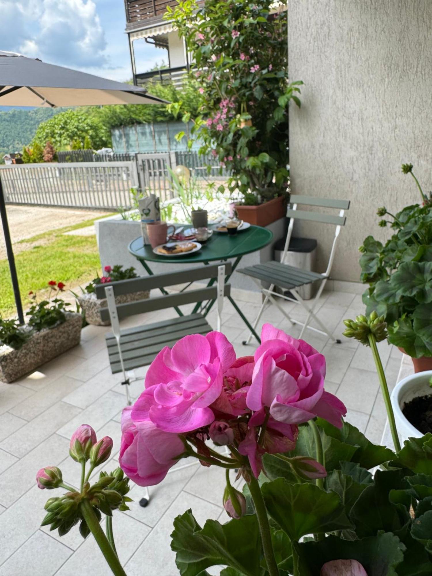 Green House Next - Lovely Apartment For Family And Free Parking Levico Terme Eksteriør billede