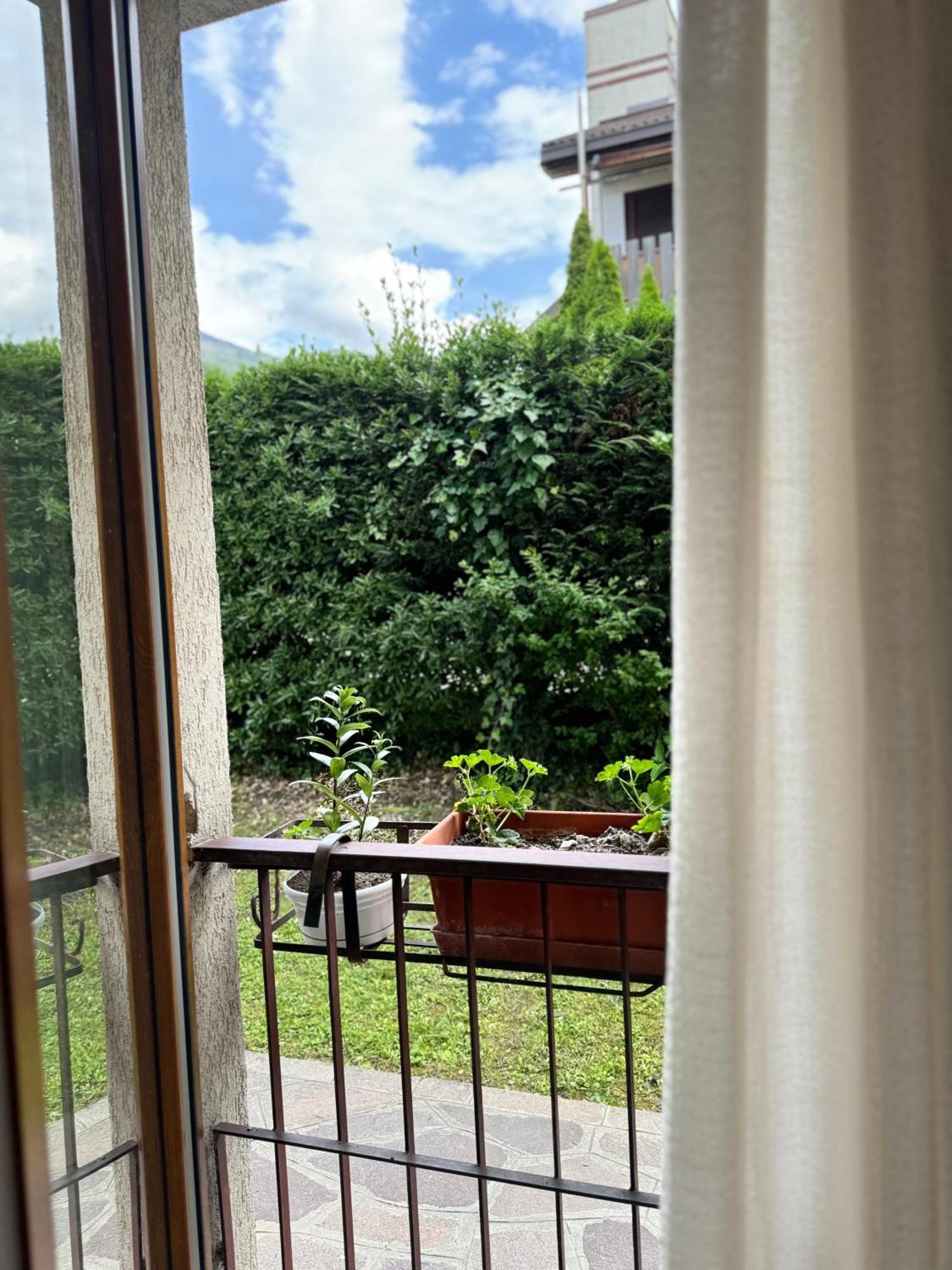 Green House Next - Lovely Apartment For Family And Free Parking Levico Terme Eksteriør billede